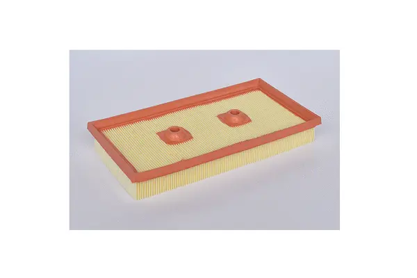 Air Filter (77095)