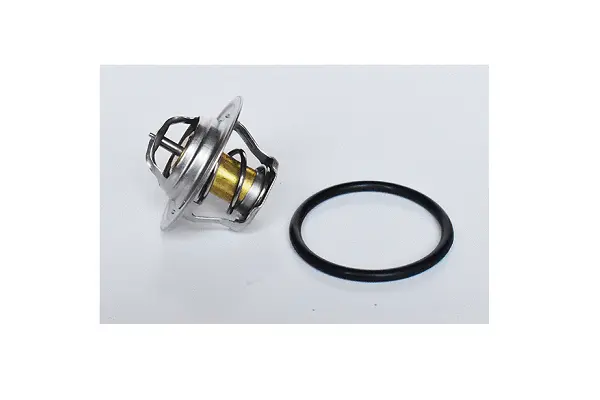 Thermostat, coolant (73587)