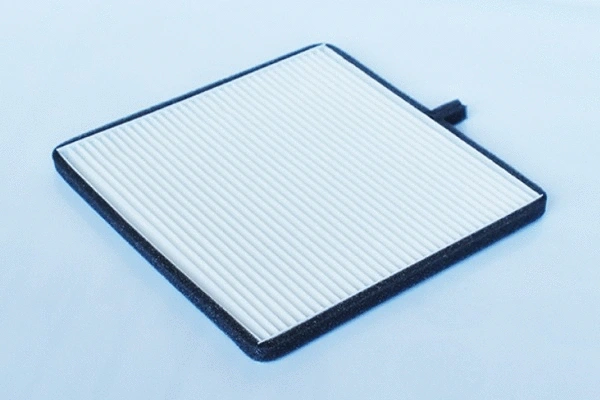 Filter, cabin air (55742)