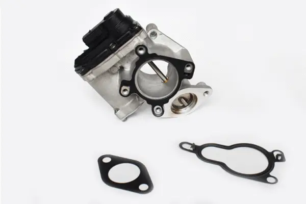 EGR Valve (73321)