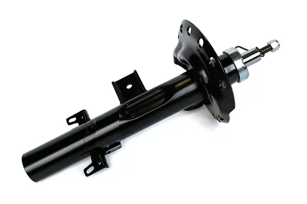 Shock Absorber (75765)