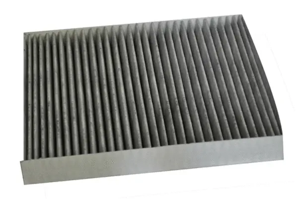 Filter, cabin air (70383)