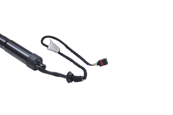 Electric Motor, tailgate