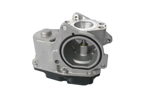 EGR Valve (74113)