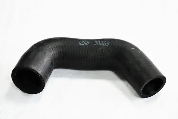 Charge Air Hose (30869)