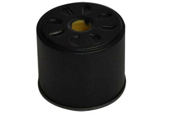 Fuel Filter (70228)