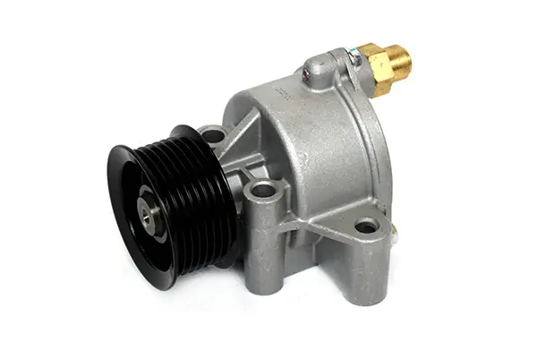 Vacuum Pump, braking system (98881)