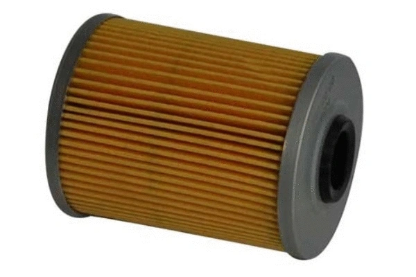 Fuel Filter (70230)