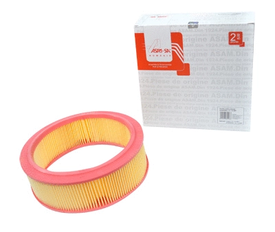 Air Filter (30518)