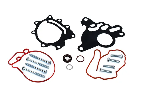 Repair Set, vacuum pump (braking system) (98902)