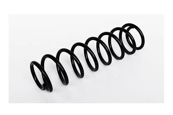 Suspension Spring (73754)