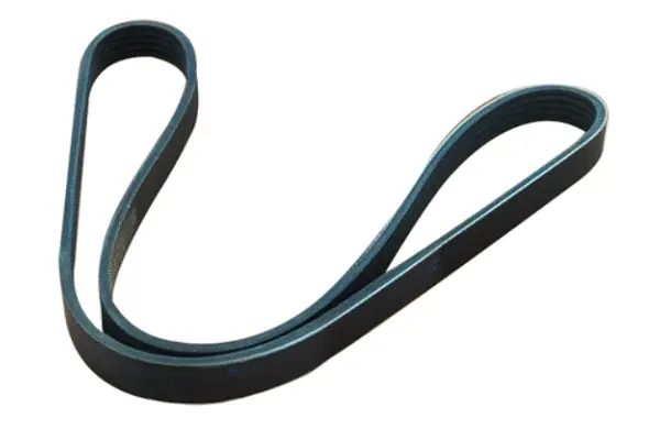 V-Ribbed Belt (55994)