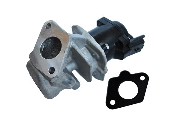 EGR Valve (74116)