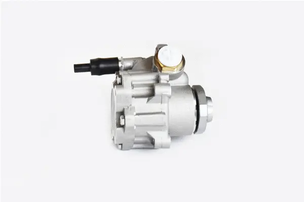 Hydraulic Pump, steering (99407)