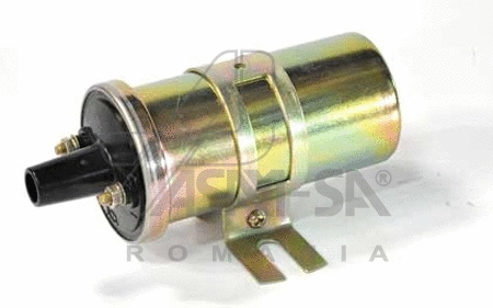 Ignition Coil (30050)