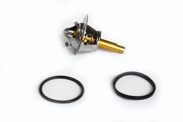 Thermostat, coolant (73688)