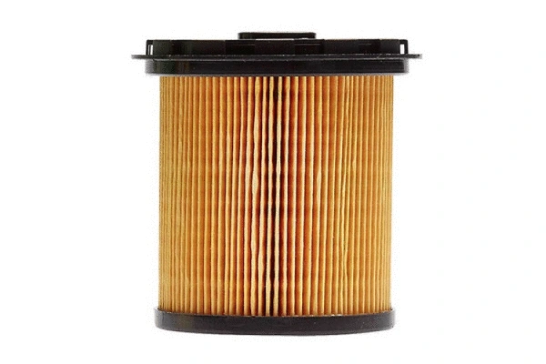 Fuel Filter (71994)