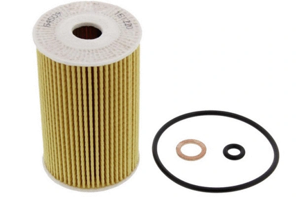 Oil Filter (70171)
