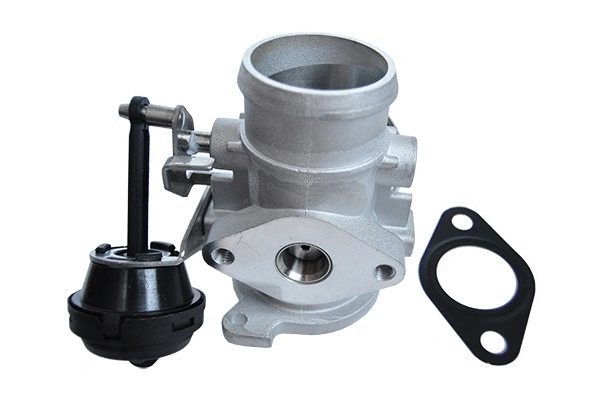 EGR Valve (74176)