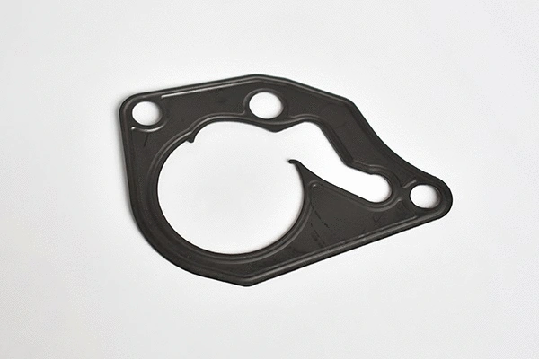 Gasket, vacuum pump (55046)