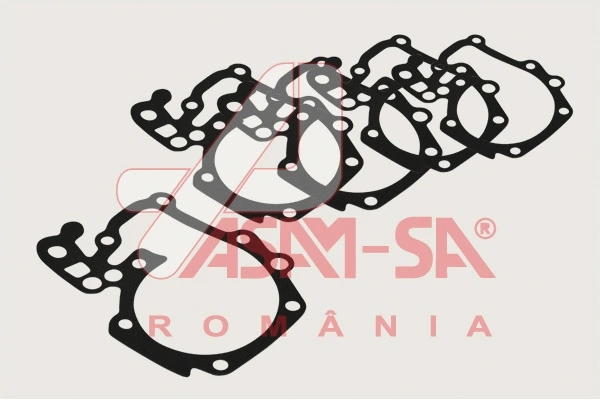 Gasket, water pump (32220)