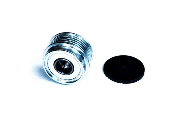 Alternator Freewheel Clutch (55195)
