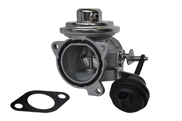EGR Valve (74182)