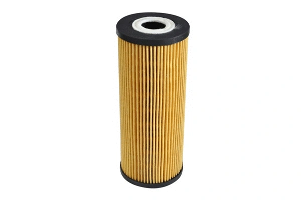 Oil Filter (30555)