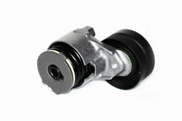 Tensioner Lever, V-ribbed belt (75323)