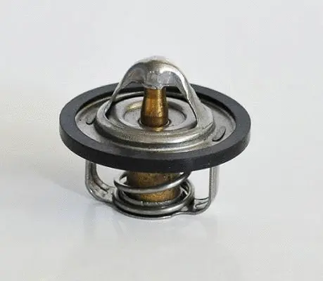 Thermostat, coolant (30654)