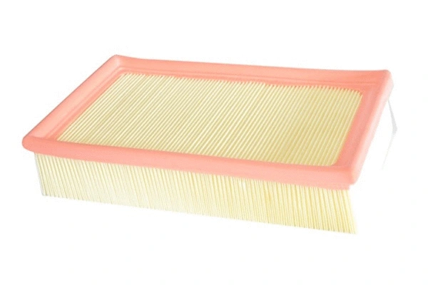 Air Filter (70262)