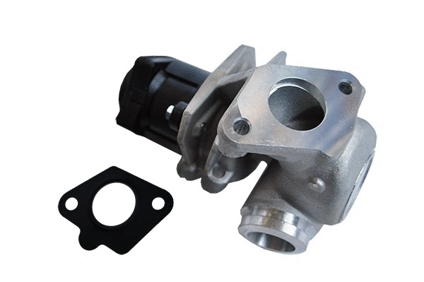 EGR Valve (74205)