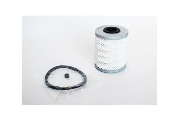 Fuel Filter (77103)