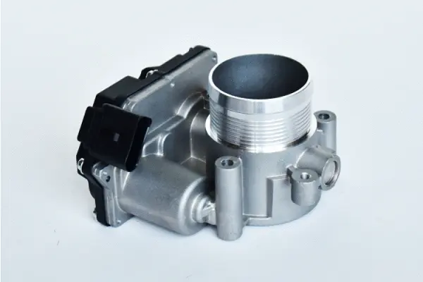 Control Flap, air supply (75389)