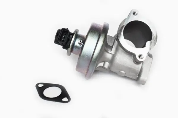 EGR Valve (73328)