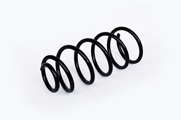 Suspension Spring (73812)