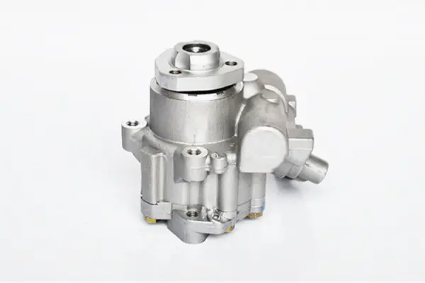 Hydraulic Pump, steering (73498)