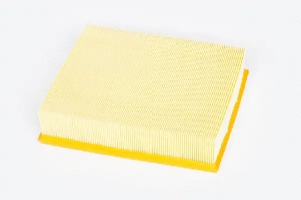 Air Filter (70339)
