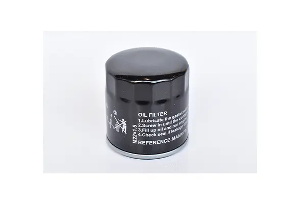 Oil Filter (77099)