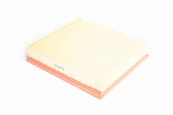 Air Filter (70861)