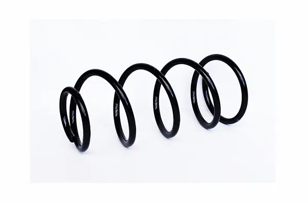 Suspension Spring (73800)