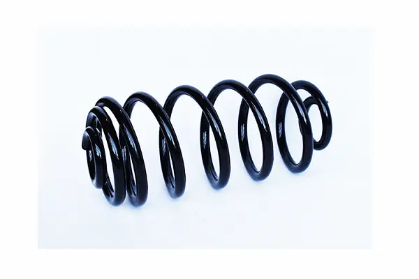 Suspension Spring (73730)