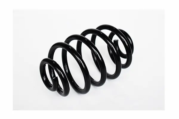 Suspension Spring (73795)