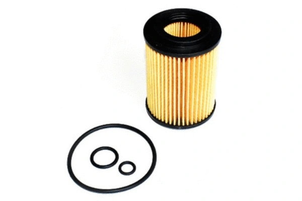 Oil Filter (70863)
