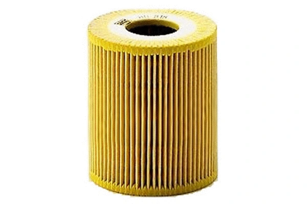 Oil Filter (70176)