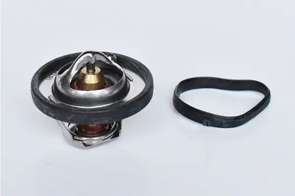 Thermostat, coolant (73379)