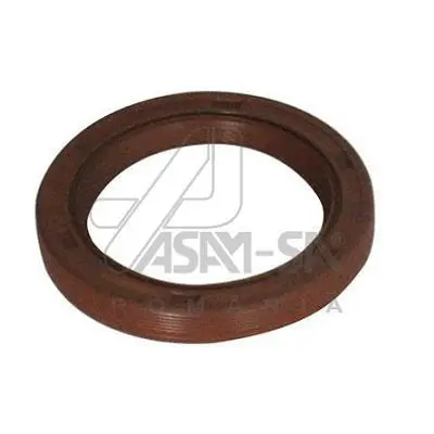 Shaft Seal, crankshaft (30420)