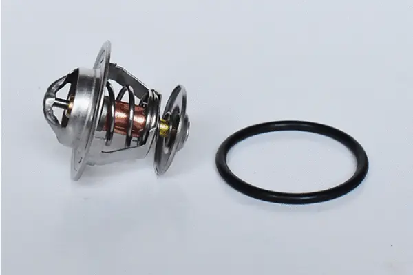 Thermostat, coolant (73363)