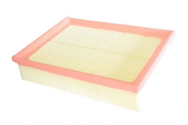 Air Filter (70263)