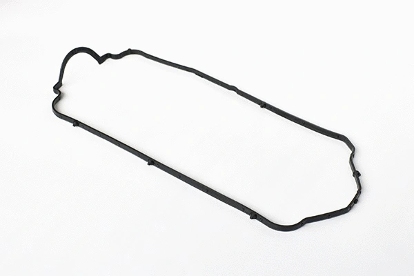 Gasket, cylinder head cover (55040)